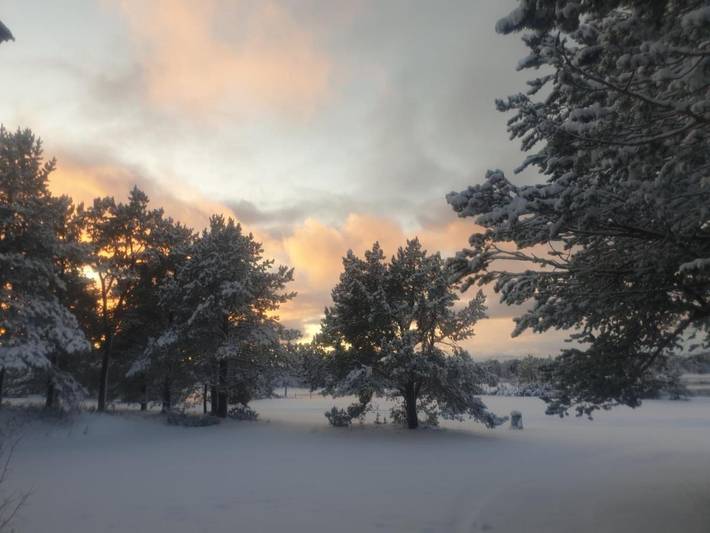 Ferienhaus für 3 Personen, mit Sauna und Garten, mit Haustier in Alta - 4