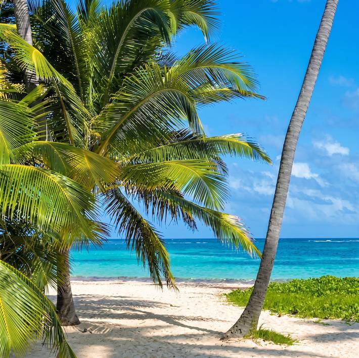 Studio entier, Studio confortable à Le Gosier 37 m² avec jardin in Le Gosier, Guadeloupe