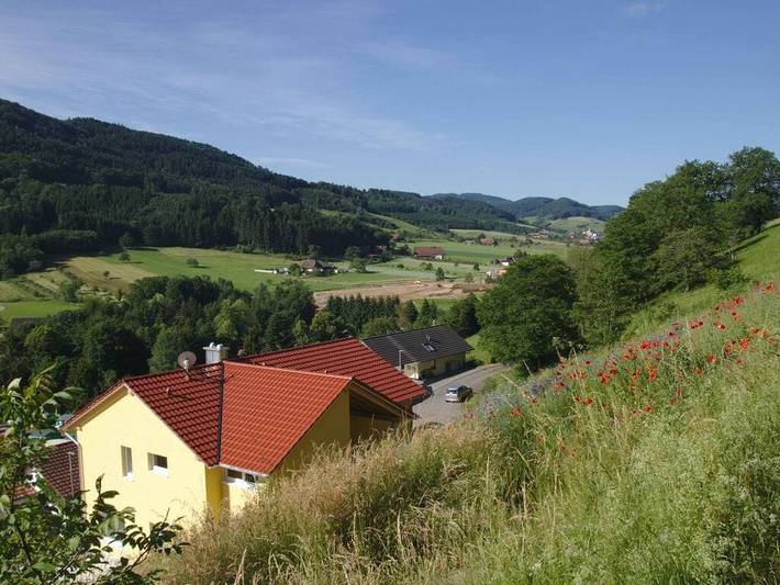 Location de vacances pour 4 personnes, avec terrasse à Steinach - 3