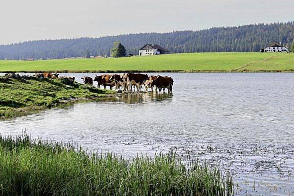 Gîte pour 5 personnes, avec jardin et vue dans La Brévine - 4