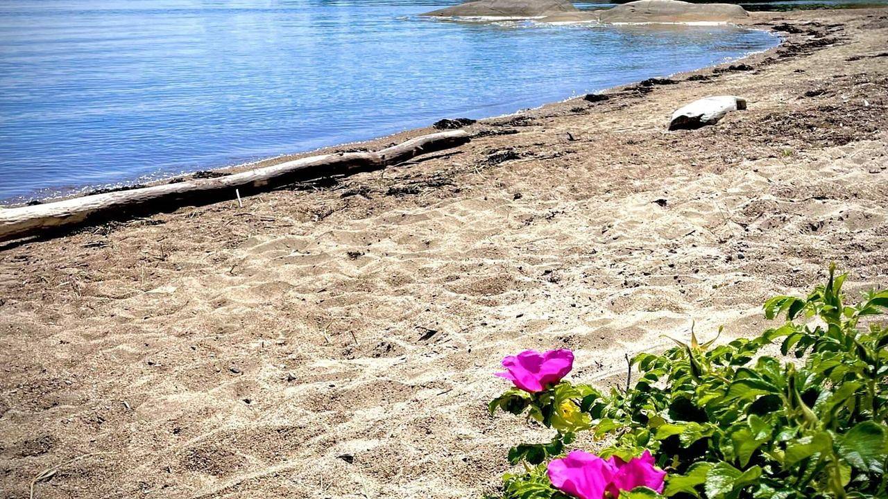 Feriehus for 9 personer med hage in Hvaler 