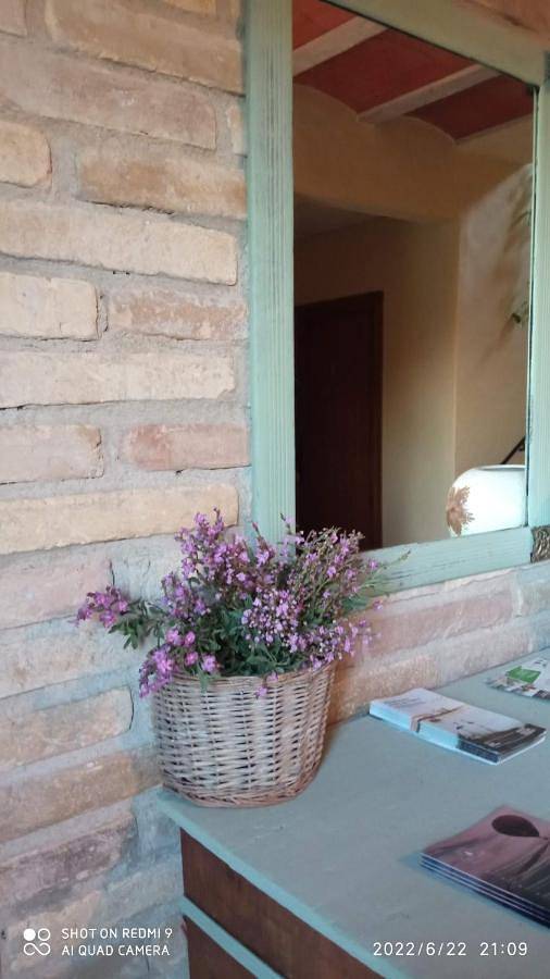 Maison d’hôte pour 2 personnes, avec piscine ainsi que vue et jardin à Amposta
