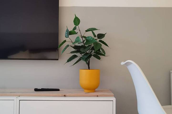 Ferienwohnung für 2 Personen, mit Haustier - 1