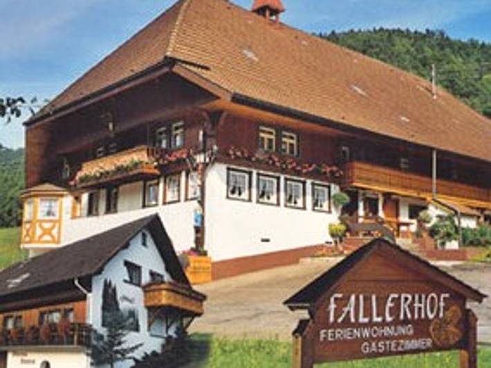 Bauernhof für 6 Personen, mit Terrasse in Elzach