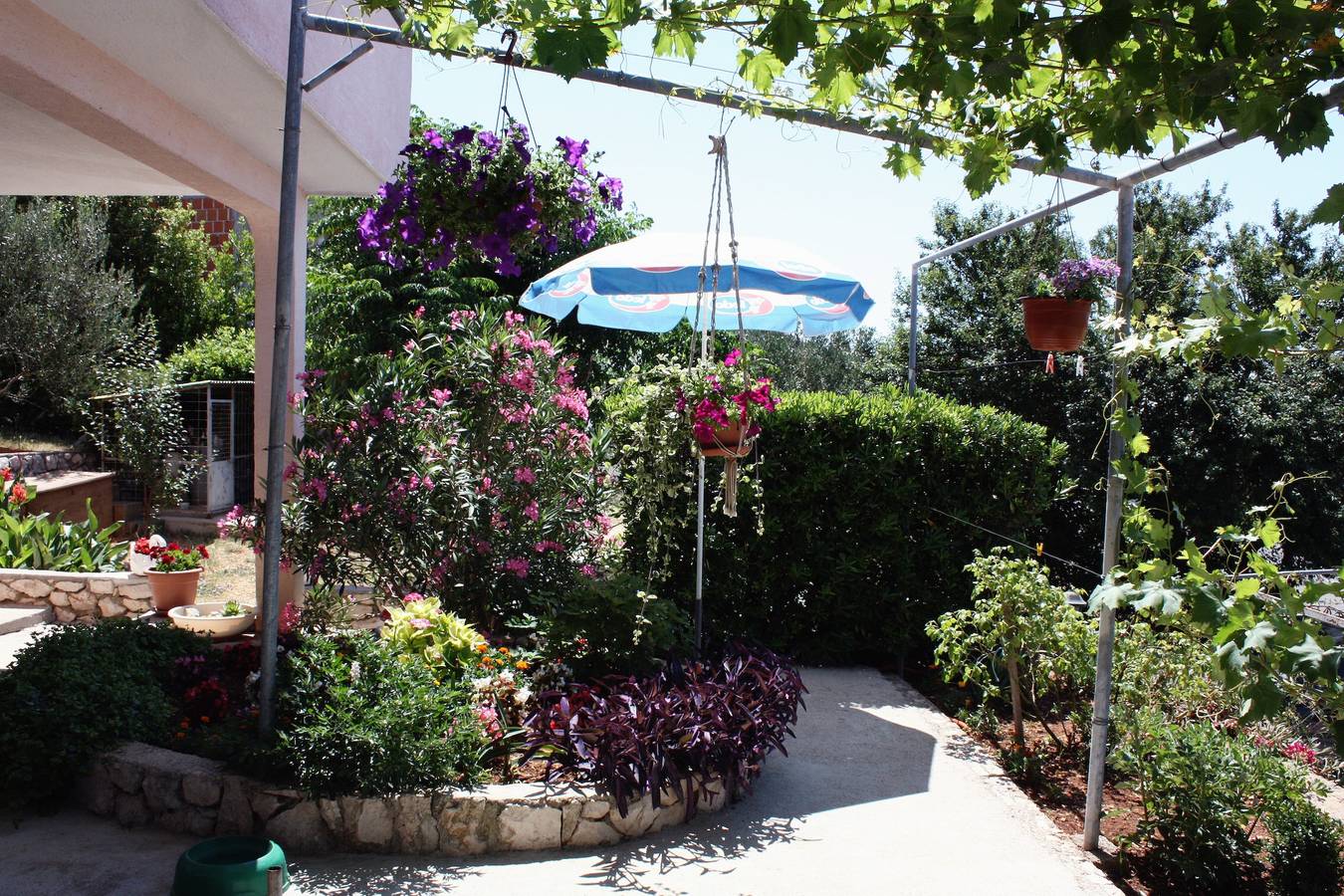 Ganze Wohnung, 2-Zimmer-Ferienwohnung mit Terrasse und Meerblick Barbat, Rab A-5070-b in Kaštel (Barbat), Barbat na Rabu