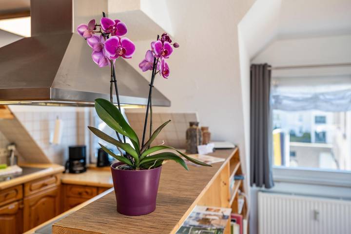 Ganze Wohnung, Ferienwohnung 'Schwarzwaldnest' mit Bergblick und Wlan in Bad Wildbad, Nordschwarzwald