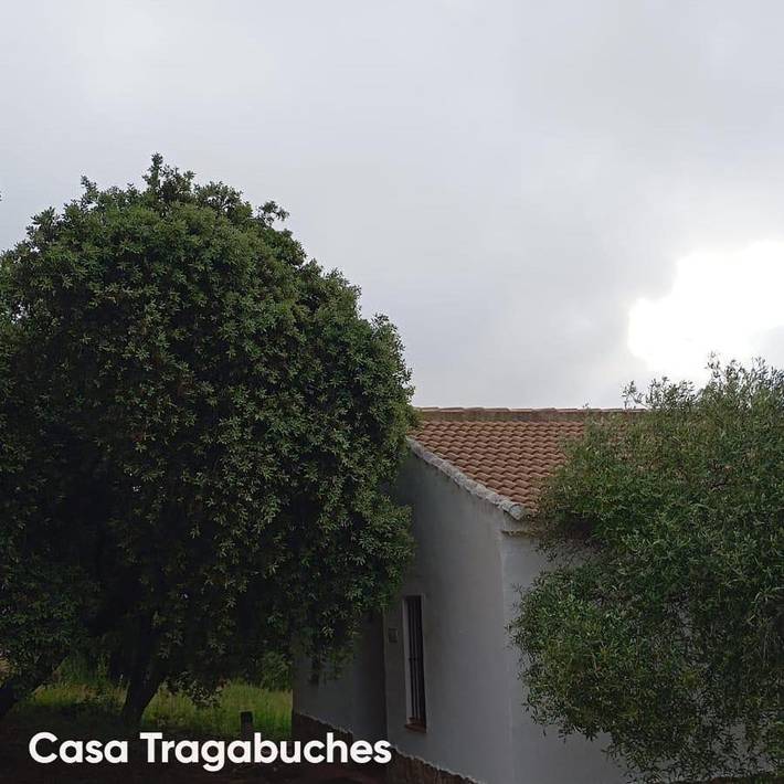 Casa rural para 2 personas, con vistas además de jardín y piscina en Provincia de Sevilla - 2