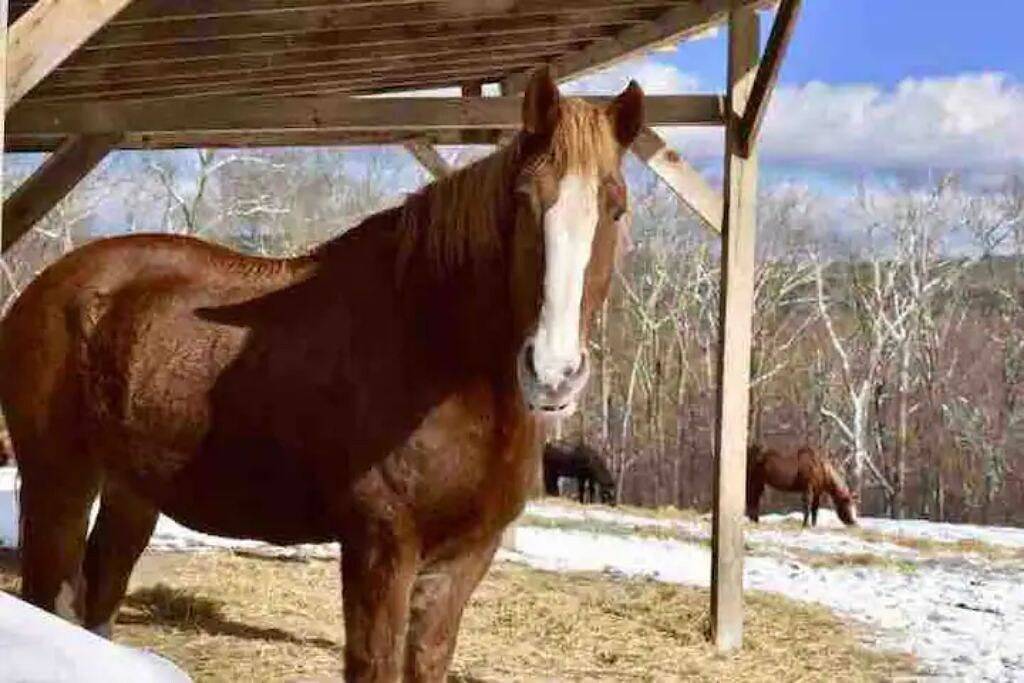 Serene Mountain Haven at Masthope in Masthope, Pike County