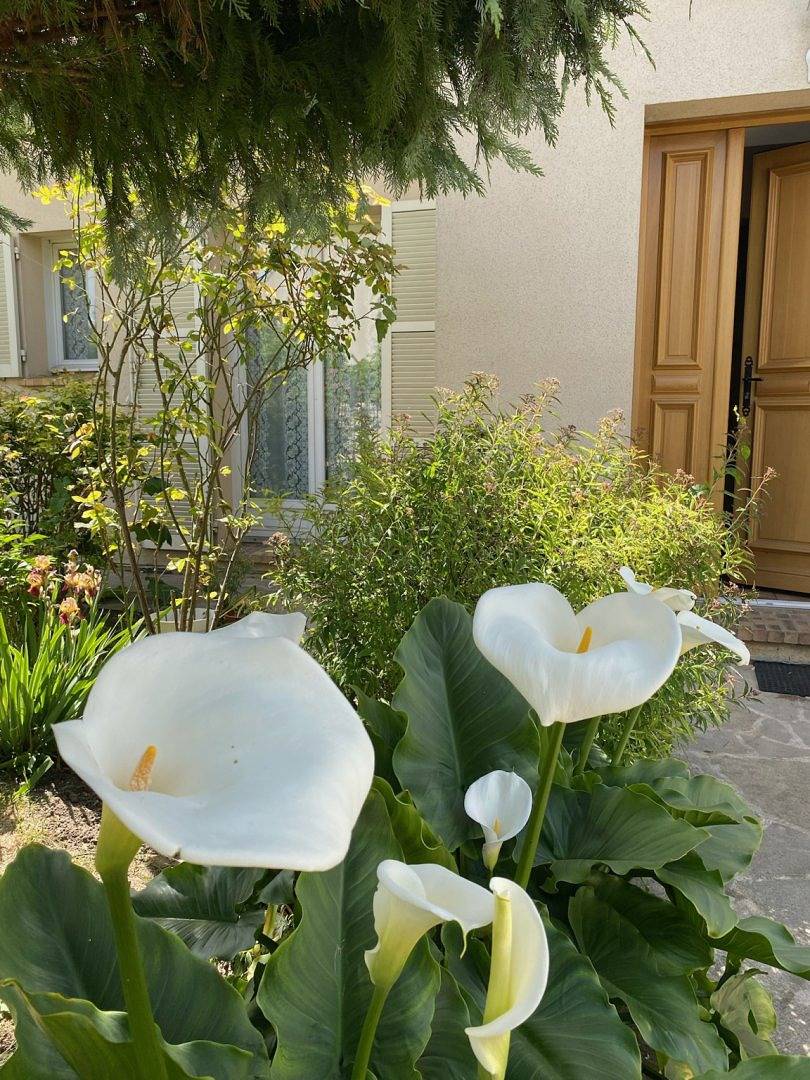 Chambres d'hôtes Le Clos d'Herblay - Chambre familiale in Herblay-sur-Seine, Val-d'Oise