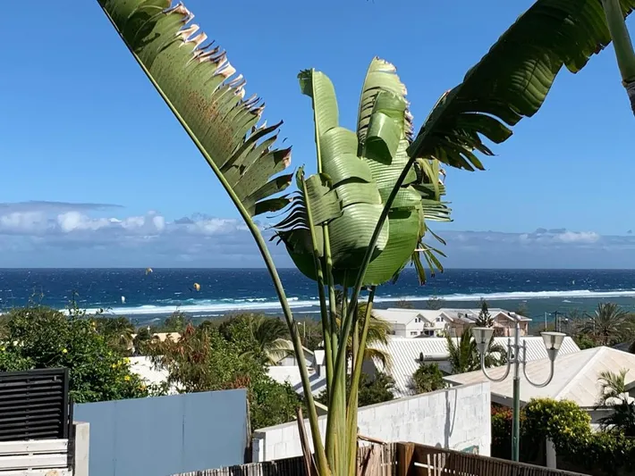 Appartement de vacances pour 4 personnes, avec vue et jardin - 1