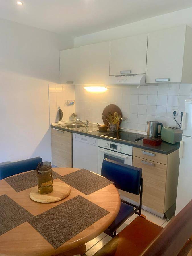 Appartement entier, "Les Oiseaux" avec terrasse, parking, duplex in Le Chambon-sur-Lignon, Mézenc