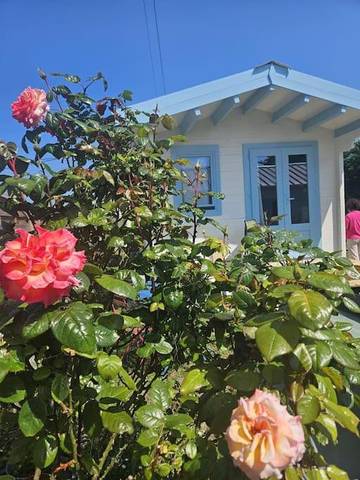 Gîte pour 6 personnes, avec jardin et vue, animaux acceptés à Asnelles