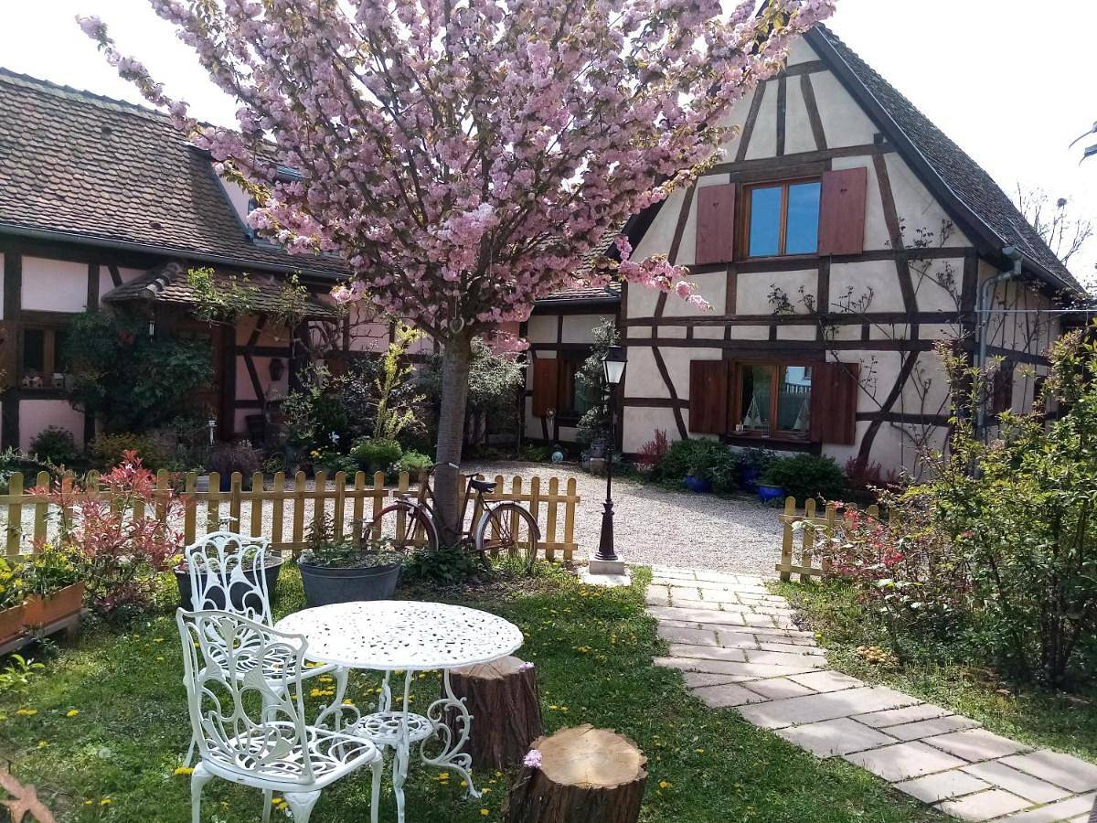 Hissele in Hilsenheim, Région de Sélestat-Erstein