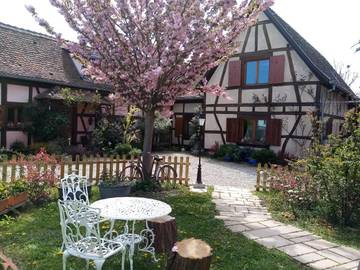 Chambre d’hôte pour 4 personnes, avec jardin à Hilsenheim