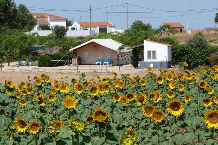 Camping para 4 pessoas, com jardim e piscina no Alentejo