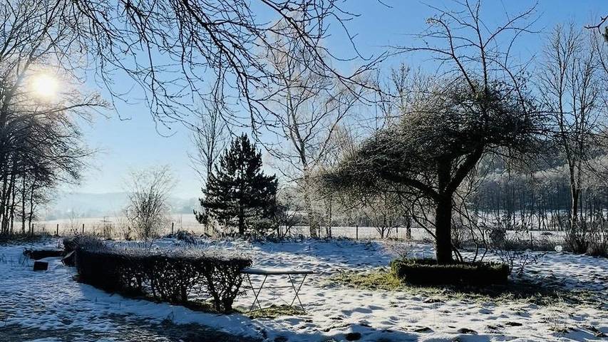 Ferienwohnung für 4 Personen, mit Garten im Nationalpark Eifel - 2