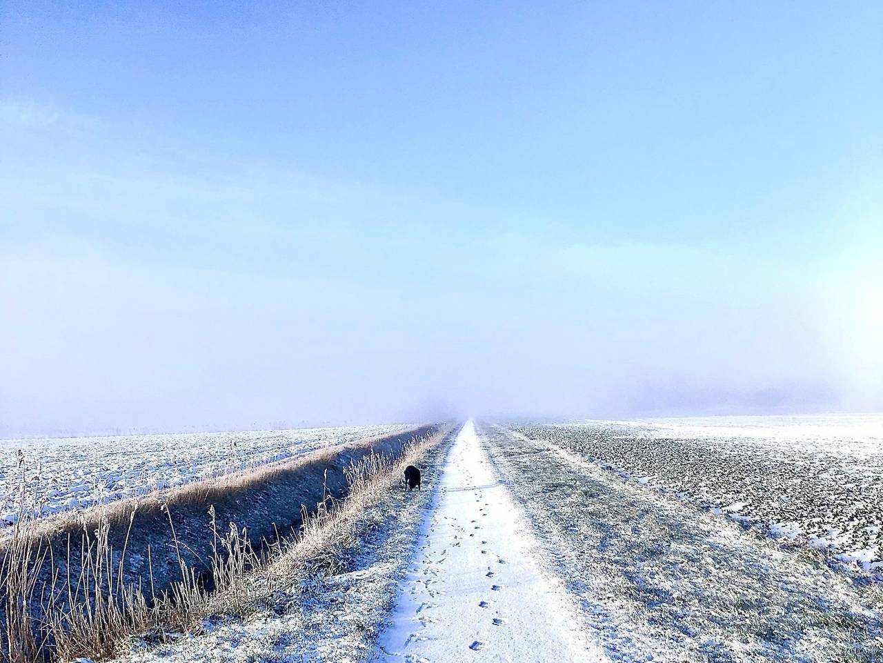 Appartement Huus Appelboom - Apartement Huus Appelbom in Nordstrand (Gemeinde), Nordstrand