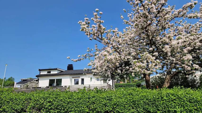 Ferienhaus für 7 Personen, mit Garten - 1