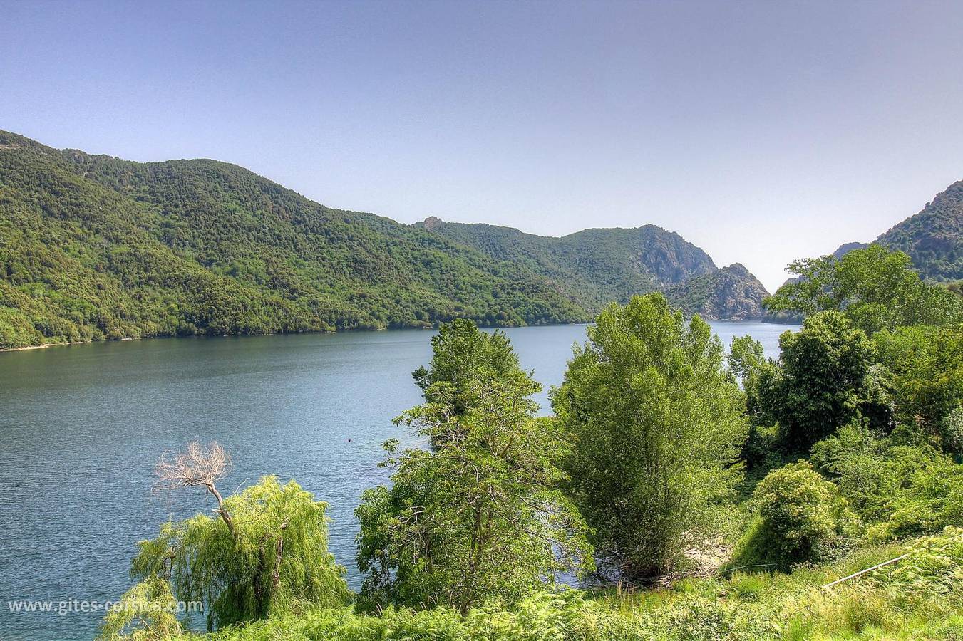 Bassatonu - Côté lac in Tolla, Ajaccio und Umgebung