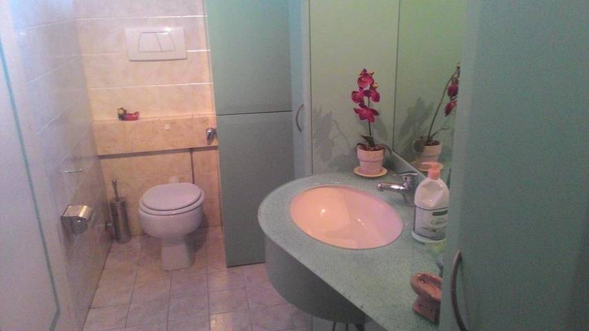 Appartamento vacanze per 4 persone, con terrazza e piscina nonché panorama e sauna, con animali domestici - 1