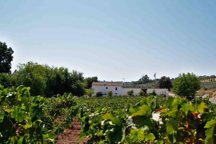 Casa rural para 16 personas, con Terraza además de Jardín y Piscina en Campiña Sur Cordobesa - 2