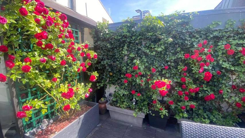 Appartement de vacances pour 4 personnes, avec terrasse et jacuzzi