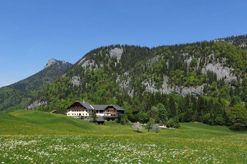 Ferienwohnung Wald - Urlaub im Grünen in Fuschl am See, Bezirk Salzburg-Umgebung