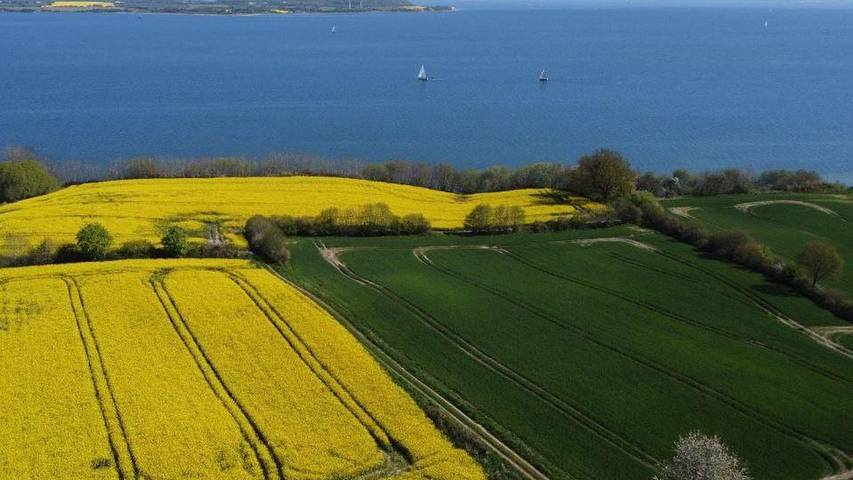 Ferienwohnung für 2 Personen, mit Garten, mit Haustier in Westerholz - 3
