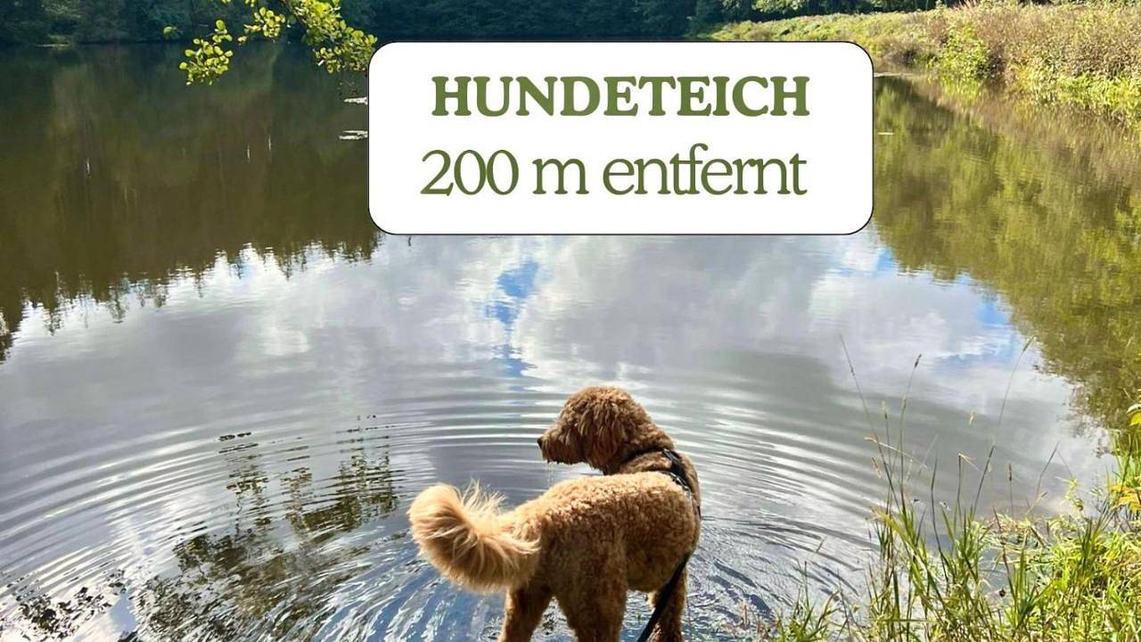 Hundeurlaub - Tiny House im Wald in Badeteich Tanna, Tanna