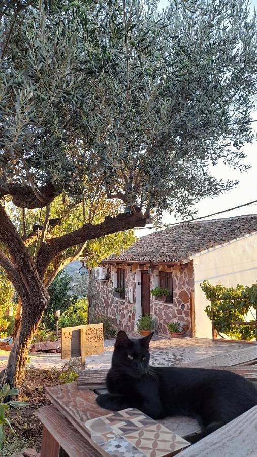 Casa rural para 5 personas, con Terraza y Jardín además de Piscina para niños y Piscina en Parc Natural de la Serra Calderona