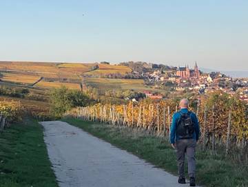 Ferienwohnung für 6 Personen in Oppenheim, Rheinhessen, Bild 4
