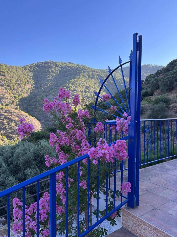 Casa rural, con Terraza y Jardín además de Piscina y Vistas en Canillas de Albaida - 3