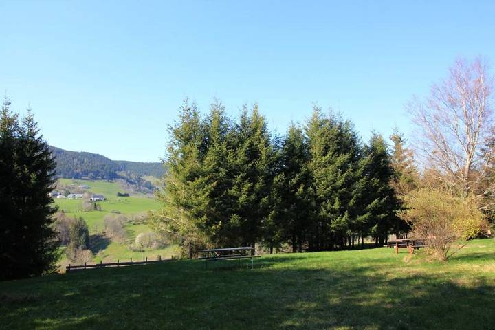 Gîte pour 6 personnes, avec jardin et vue, animaux acceptés à Le Bonhomme - 3