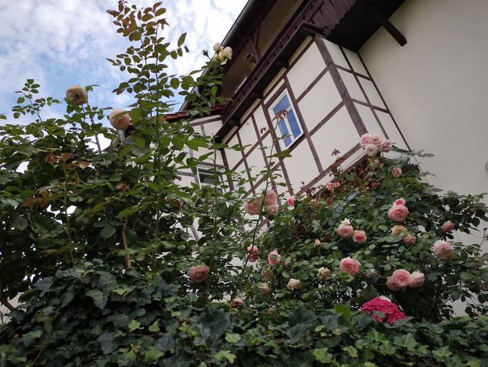 Ganze Ferienwohnung, Altes Standesamt Weißensee - Ferienwohnung, 100qm, 2 Schlafzimmer, max. 5 Erwachsene + 1 Kind in Thüringer Kernland