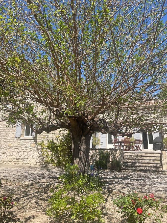 Chambre d’hôte pour 2 personnes, avec jardin et terrasse à Paradou - 2