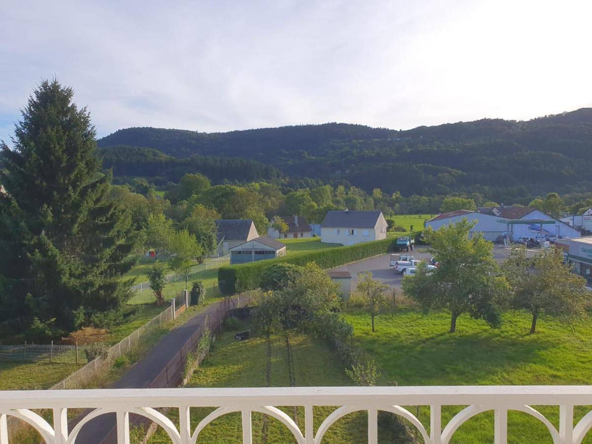 Condat - Maison familiale au coeur des volcans d'auvergne in Condat, Parc naturel régional des Volcans d'Auvergne