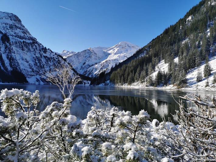 Ganze Ferienwohnung, Almhotel Told - Wohlfühlzimmer in Grän, Allgäuer Alpen (Österreich)