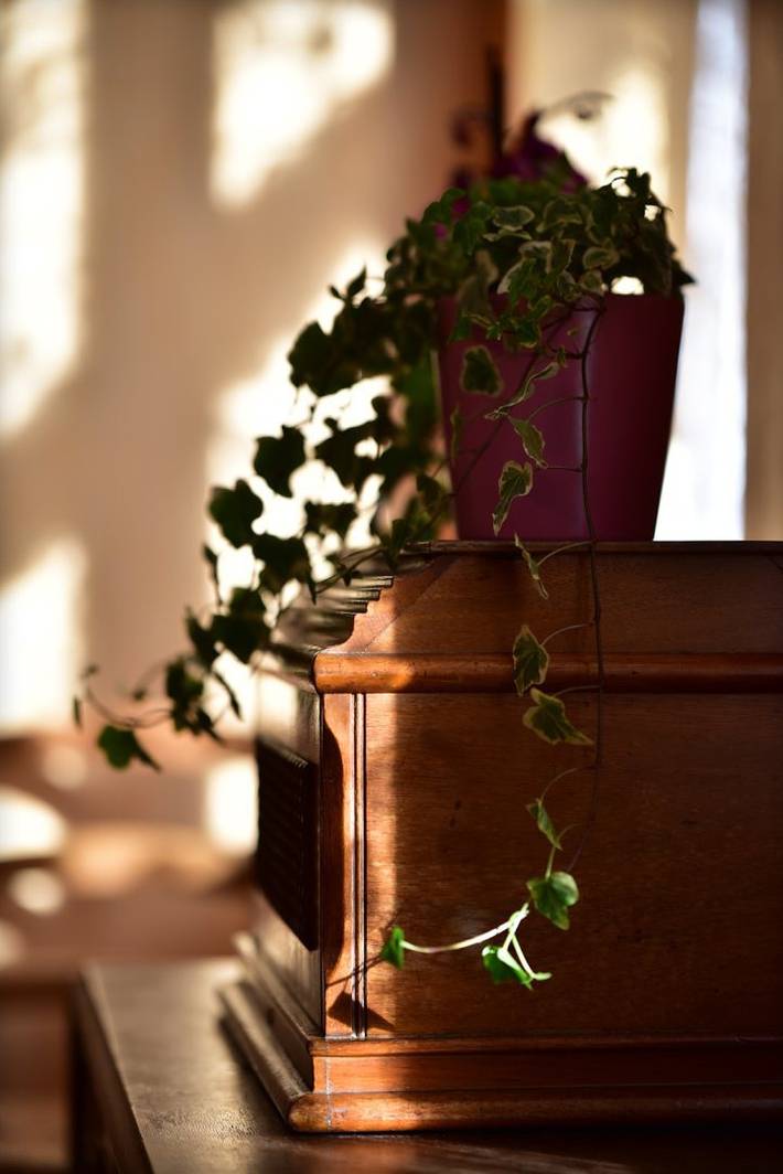 Gîte pour 4 personnes, avec jardin et terrasse, animaux acceptés dans le Haut-Rhin - 4