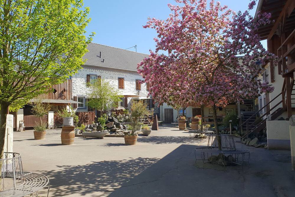 Ganze Wohnung, Traumferienwohnung auf idyllischem Hof Nähe Burg Eltz in Burg Eltz, Münstermaifeld