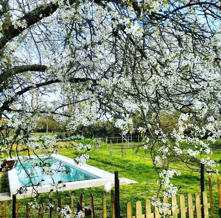 Location de vacances pour 2 personnes, avec piscine ainsi que vue et jardin à Pujols (Gironde) - 3