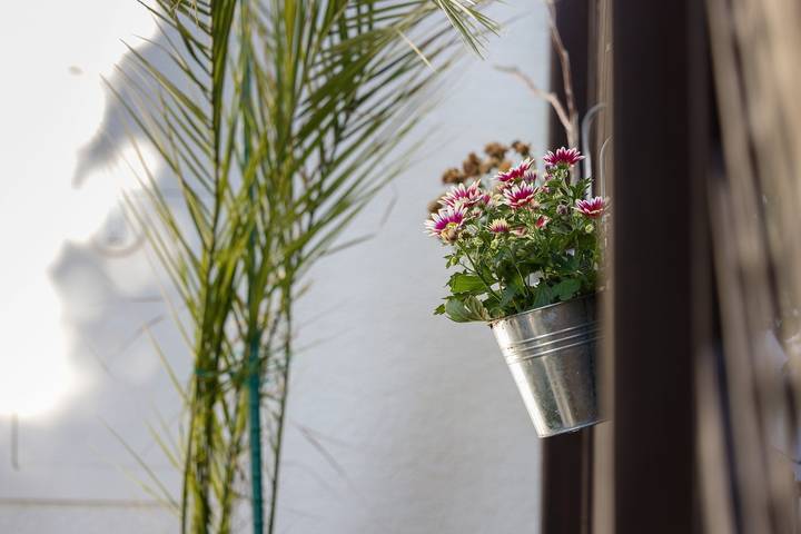 Ganze Wohnung, Ferienwohnung 'Cathleen Bohnert' mit Bergblick, privater Terrasse und Wi-Fi in Lindau, Bayerisch Schwaben
