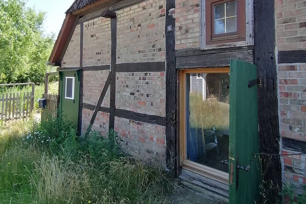 Entspannen n der Elbtalaue in Bleckede, Elbtalaue