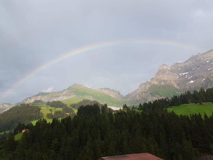 Ganze Wohnung, Chalet Wäschhüsi in Adelboden, Frutigen - Lenk - Adelboden