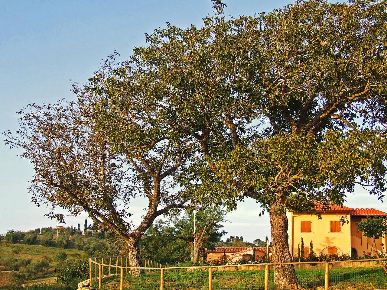 Ganze Wohnung, Le Palaie - 'Padronale' in Peccioli, Pisa Provinz