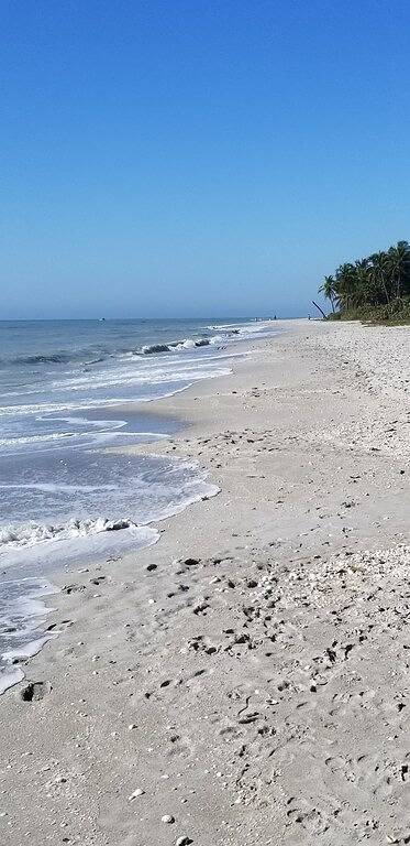 Beautiful, newly renovated ranch with private pool, 25 minutes from the beach. in Fort Myers, Southwest Florida