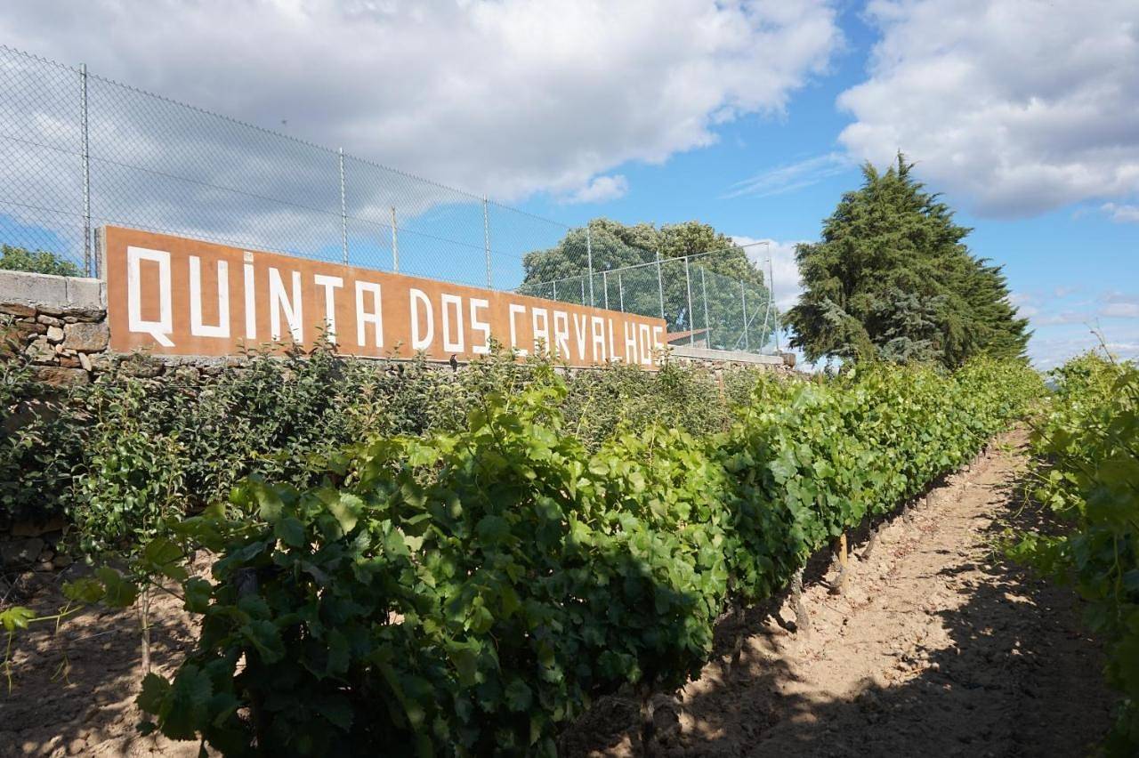 Quinta Dos Carvalhos in Vilarinho de Agrochão, Distrito de Bragança
