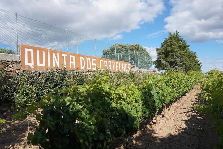 Casa de férias para 4 pessoas, com jardim e vista em Macedo de Cavaleiros