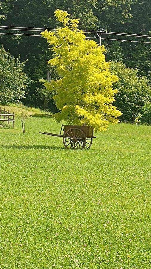 Location de vacances pour 2 personnes, avec jardin ainsi que terrasse et vue à Écommoy - 3