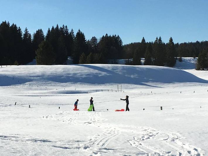 Gîte pour 4 personnes, avec jardin et sauna ainsi que terrasse et vue, animaux acceptés à La Pesse - 3