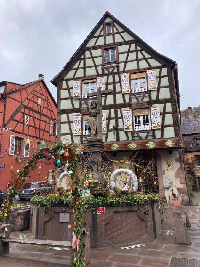 Chambre d’hôte pour 2 personnes, avec terrasse à Colmar - 4